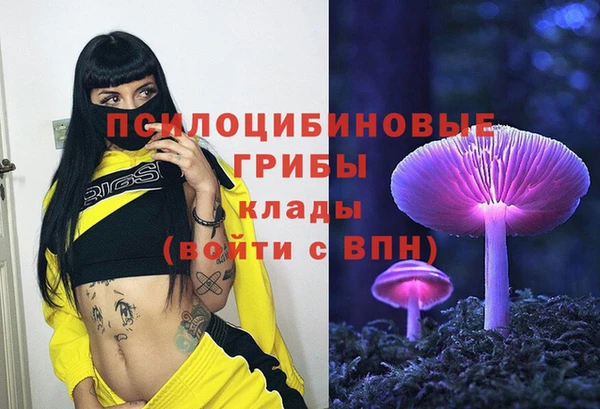 мет Арсеньев