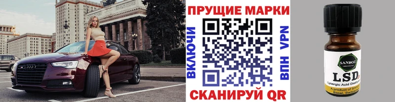 дарнет шоп  Полесск  Марки NBOMe 1,8мг 