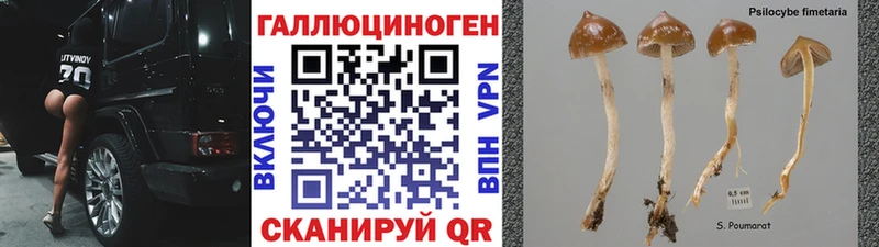 Галлюциногенные грибы ЛСД  Полесск 